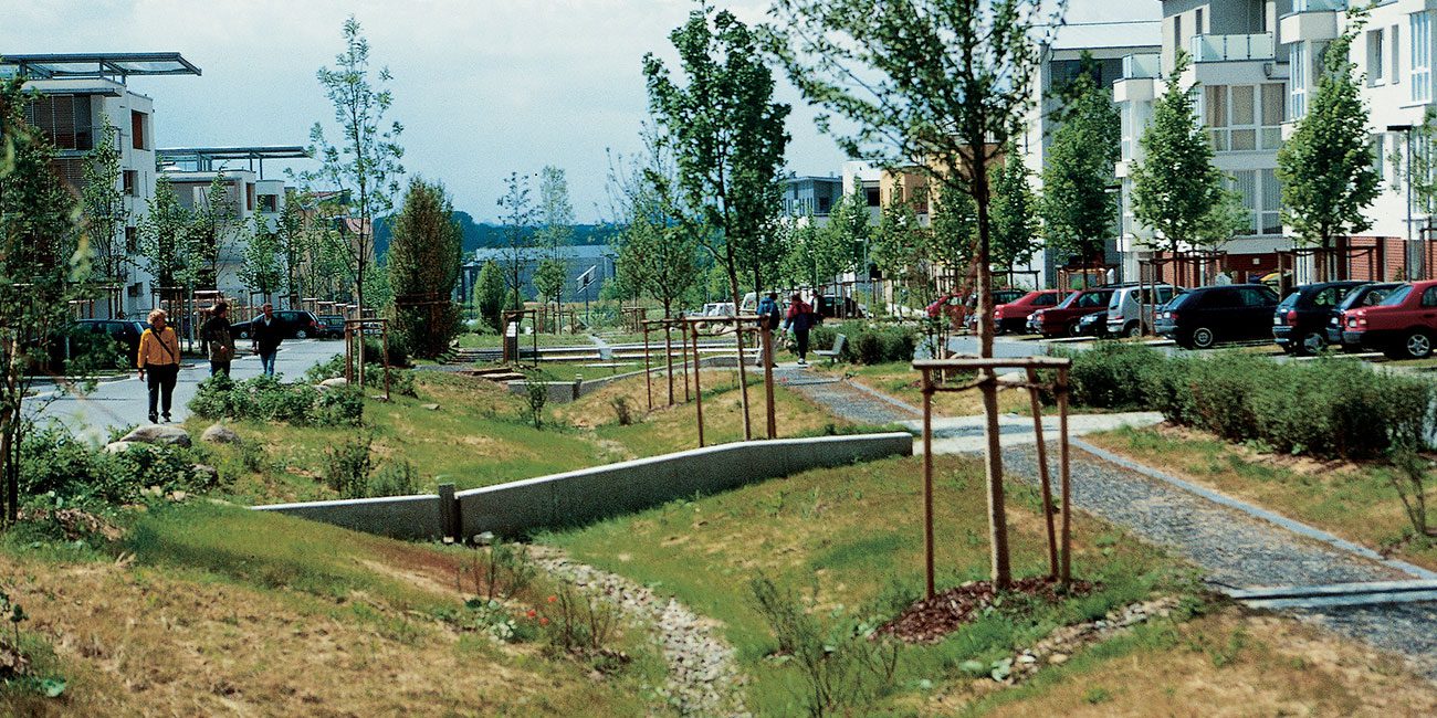 Typical Bioswale Design