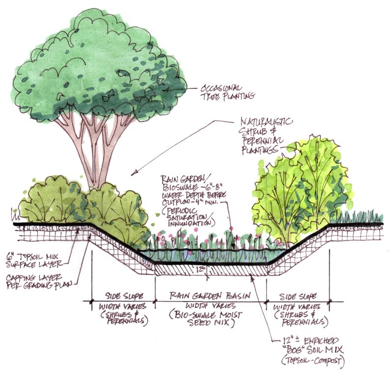 Bioswale Schematic